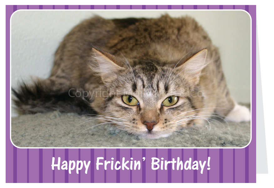 Happy Frickin' Birthday Card - Cat