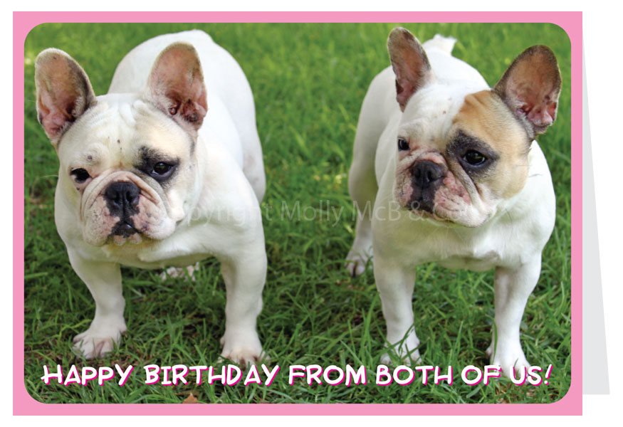 Happy Birthday from Both of UsCard - French Bulldogs