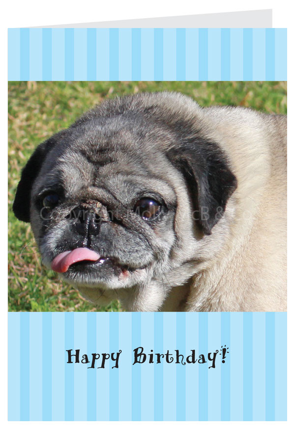 Happy Birthday Card - Pug
