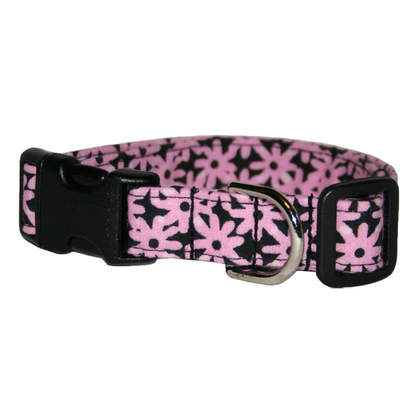 Pink Daisies on Black Collar