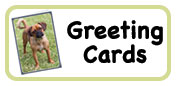 Blank Cards