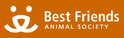 Best Friends